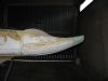 Filename=Shape3_304.jpg
Filesize=208KB
Dimensions=1024x768
Date added=Aug 30, 2009 Shape3_304.jpg